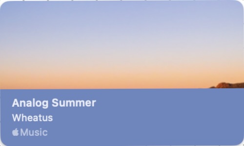 Analog Summer